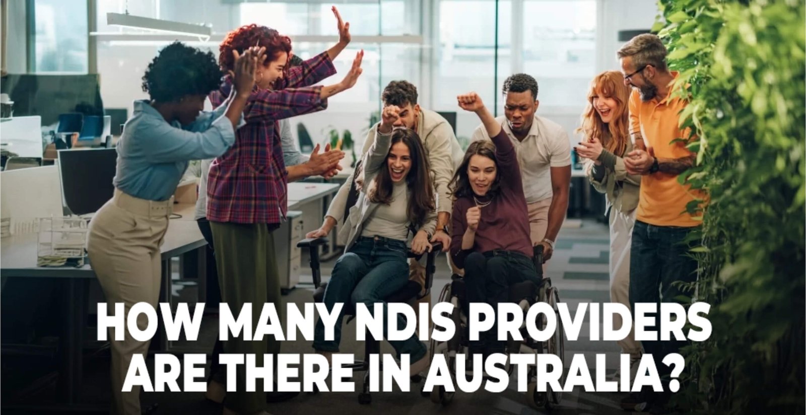 How many NDIS providers are there in Australia (1)