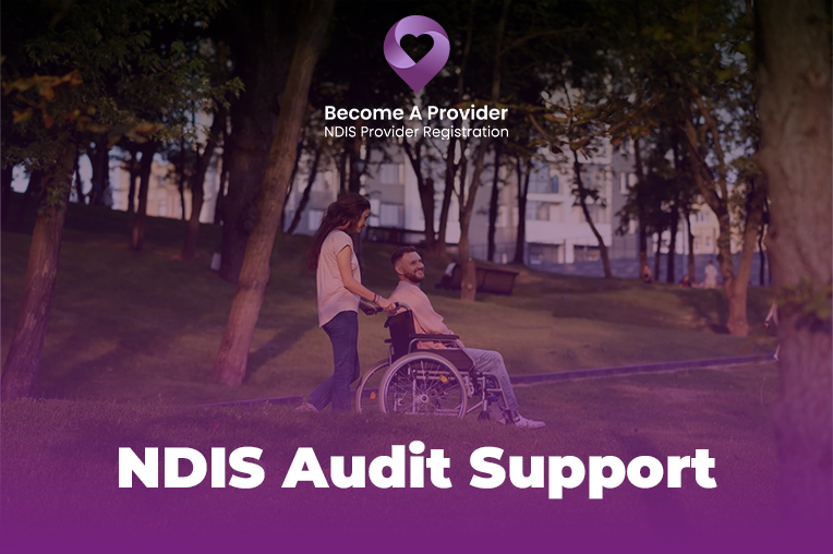 NDIS Audit Support