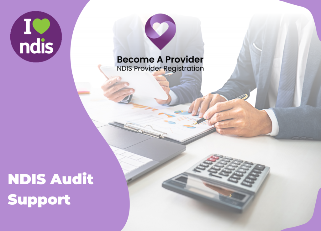 NDIS Audit support