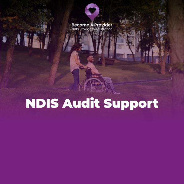 NDIS Audit Support